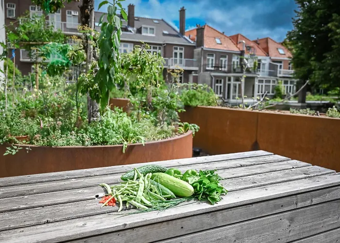 Court Garden Hotel - Ecodesigned Den Haag